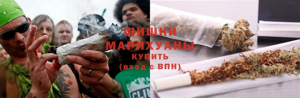 бутират Богданович