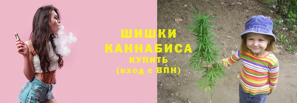 гашик Богородск
