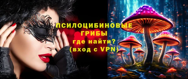 гашик Богородск