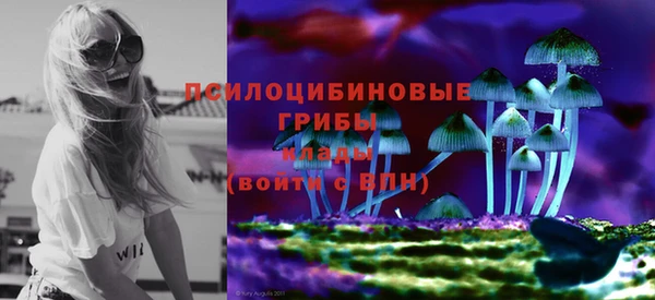 первитин Богородицк