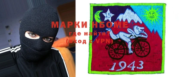 гашик Богородск