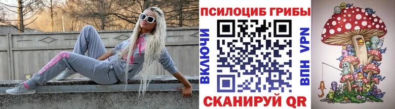 Псилоцибиновые грибы мицелий  Пятигорск 