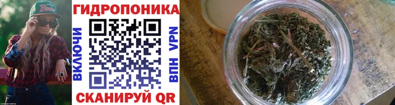 darknet официальный сайт  ссылка на мегу ссылка  Пятигорск  Канабис гибрид 